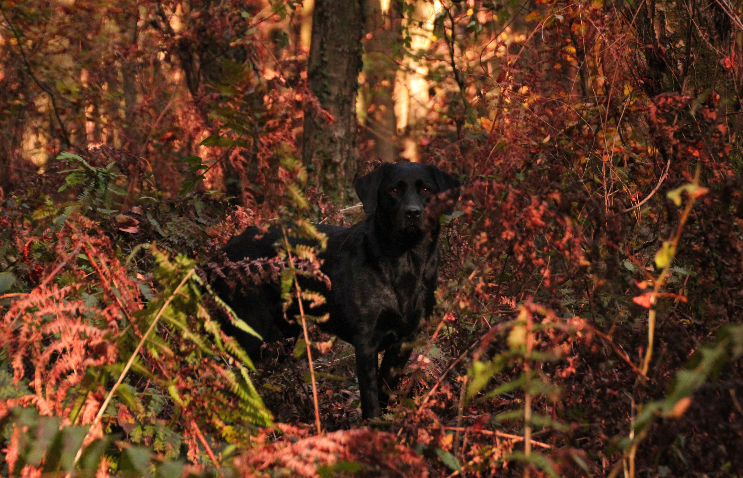 Kontakt Marion Huber