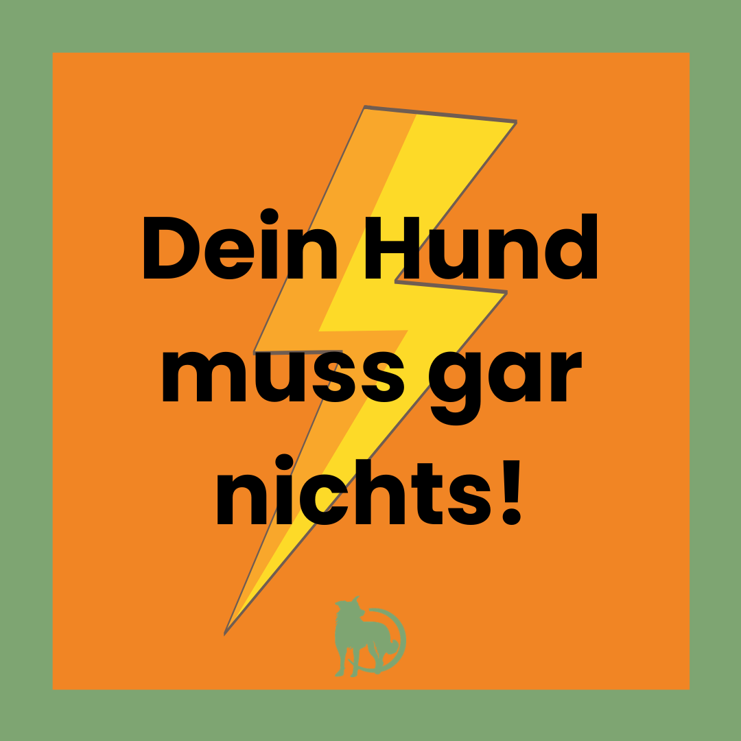 Dein Hund muss gar nichts!