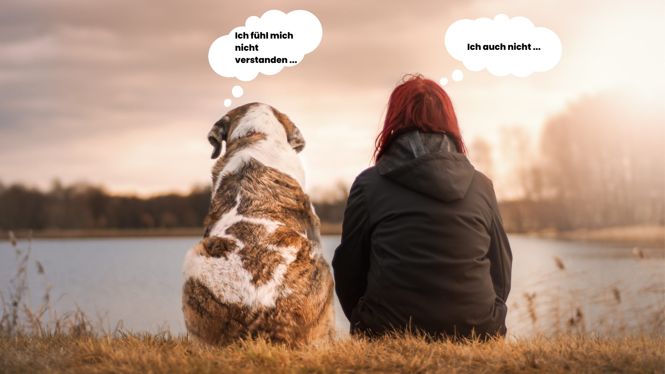 Fühlst Du Dich auch nicht verstanden?